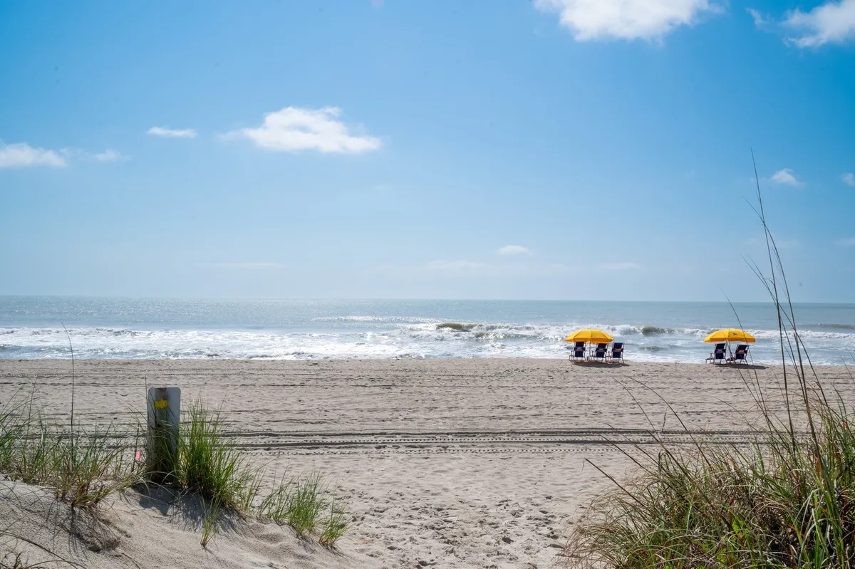 A scenic view of the beach with colorful umbrellas dotting the sand, gentle waves rolling in, and sand dunes in the foreground. The scene is lively yet relaxed, evoking classic family beach activities.